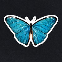 Sparkling blue butterfly sticker with white border