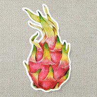 Dragon fruit oil paint style sticker illustration with white border