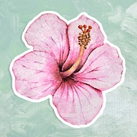 Hibiscus flower watercolor style sticker illustration with white border
