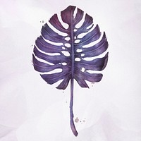 Purple monstera leaf watercolor style illustration