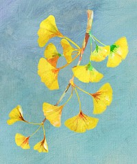 Branch of yellow ginkgo acrylic paint style design resource