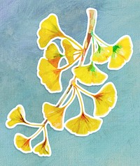 Branch of yellow ginkgo acrylic paint style sticker with white border