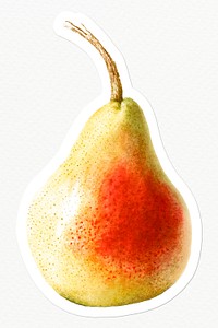 Hand drawn pear sticker design element