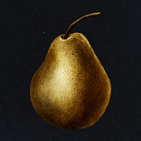 Gold pear fruit sticker design element