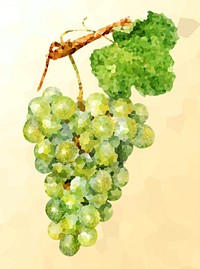 Green grape on a yellow background crystallized style illustration
