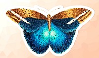 Crystallized butterfly sticker overlay with a white border illustration