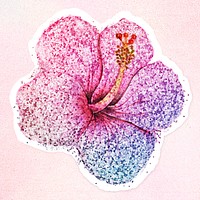 Glittery hibiscus flower sticker overlay with a white border design resource