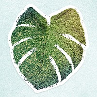 Glittery green monstera leaf sticker overlay with a white border design resource