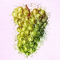 Glitter green grape fruit illustration