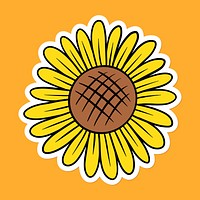 Cute sunflower sticker with a white border on an orange background vector