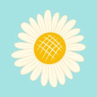 Pop art style daisy flower sticker overlay with halftone effects design resource