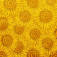 Decorative yellow sunflower  design background