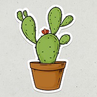 Green cactus sticker design element