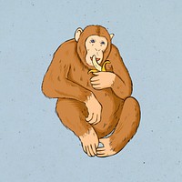 Psd vintage hand drawn monkey cartoon clipart