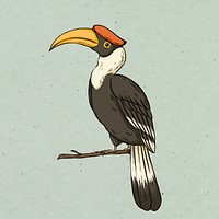 Vintage psd hand drawn hornbill cartoon clipart