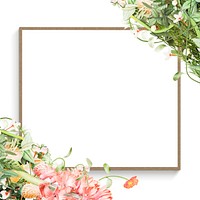 Blooming flowers frame on white background