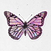 Pink holographic Monarch butterfly with a white border sticker