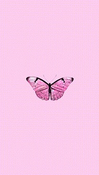 Pink holographic butterfly background