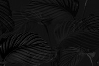 Dark calathea leaves background design resource 