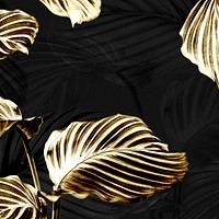 Shiny golden calathea leaves background 