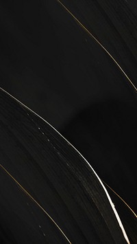 White and golden streaks on a black background