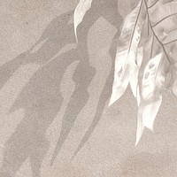 Tropical leaves shadow on a wall 