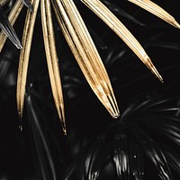 Golden palm leaves background design resource 