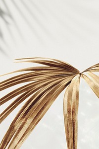 Golden palm leaves background design resource 