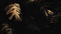 Golden monstera leaves background design resource 