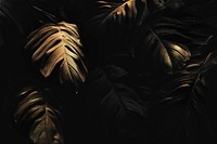 Golden monstera leaves background design resource 