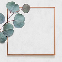 Eucalyptus branch gold frame psd gray background