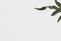 Arrowhead fern leaf psd gray background text space