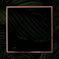 Gold frame psd on Calathea Orbifolia background