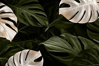 Floral background monstera leaves psd