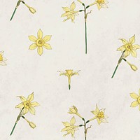 Vintage jonquil flower pattern background