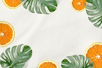 Green Monstera leaves and orange background