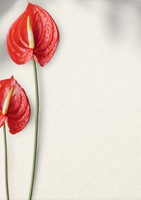 Flamingo flower on a white background design resource 