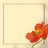 Red poppy flower frame on beige background