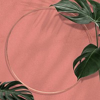 Gold round Monstera leaves frame on pink background