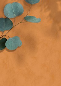 Eucalyptus frame on a brown background 