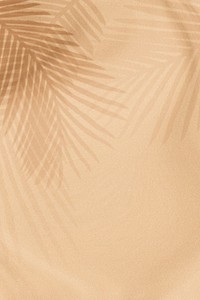 Palm leaves shadow on a beige background 