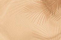 Palm leaves shadow on a beige background 