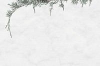 White Christmas psd background pine tree