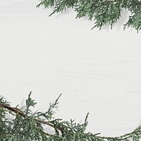 Green pine branch psd gray winter background