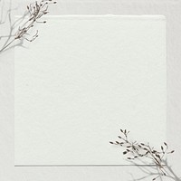 Off white background psd dry branch border