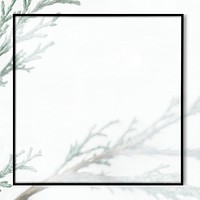 Black frame psd pine branch white background