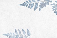 Wintery fern leaf white background psd