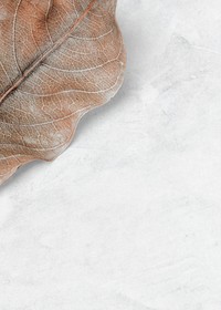 Beige leaf patterned background design space