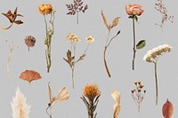 Dried flower mockup patterned background