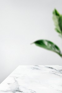 Plain gray wall with leaf and white marble table product background